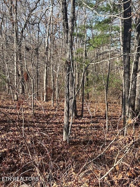 9142 Weketa Cir, Crossville, TN 38572 - photo 4