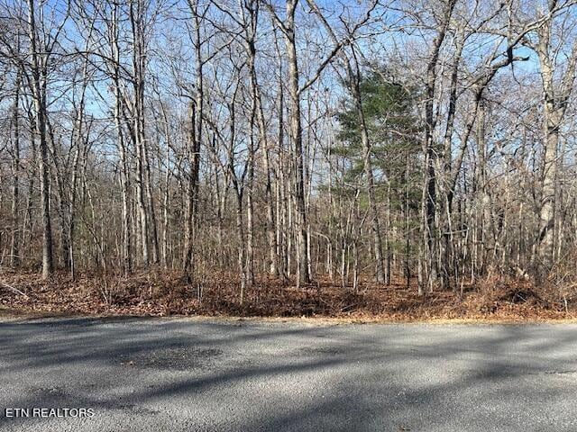 9142 Weketa Cir, Crossville, TN 38572 - photo 1