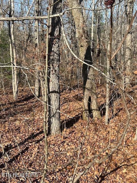 9142 Weketa Cir, Crossville, TN 38572 - photo 3