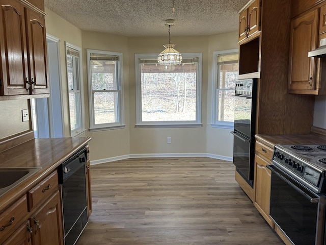 kitchen with hanging light fixtures, light hardwood / wood-style floors, plenty of natural light, and black appliances