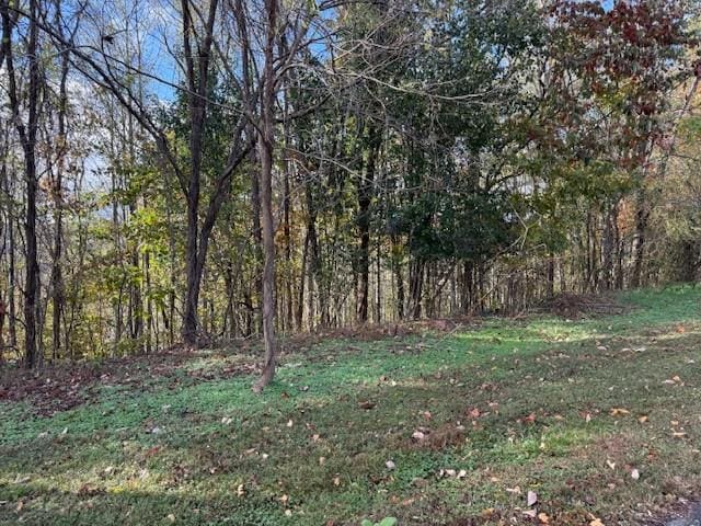 0 Deer Path Ct, Smithville TN, 37166 land for sale