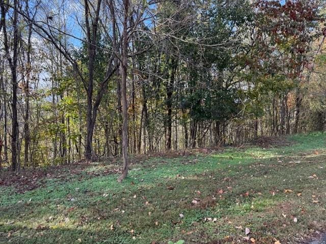 0 Deer Path Ct, Smithville, TN 37166 - photo 1