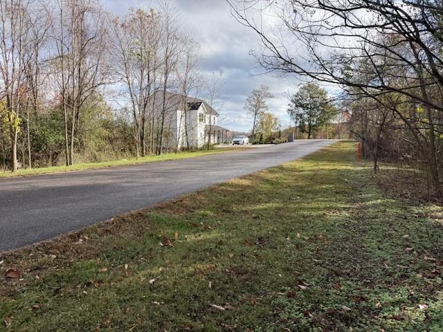 0 Deer Path Ct, Smithville, TN 37166 - photo 5