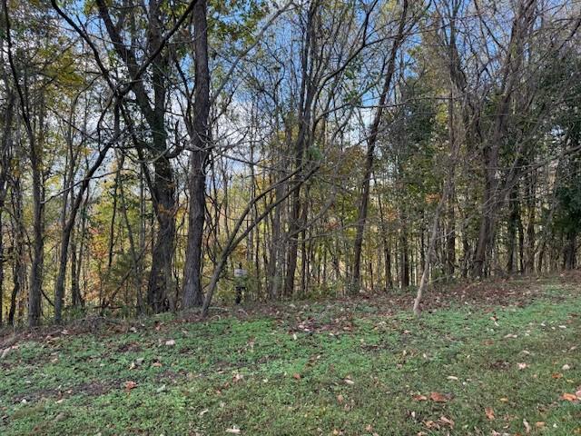 0 Deer Path Ct, Smithville, TN 37166 - photo 6