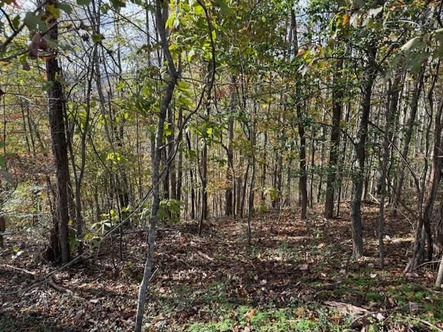 0 Deer Path Ct, Smithville, TN 37166 - photo 7