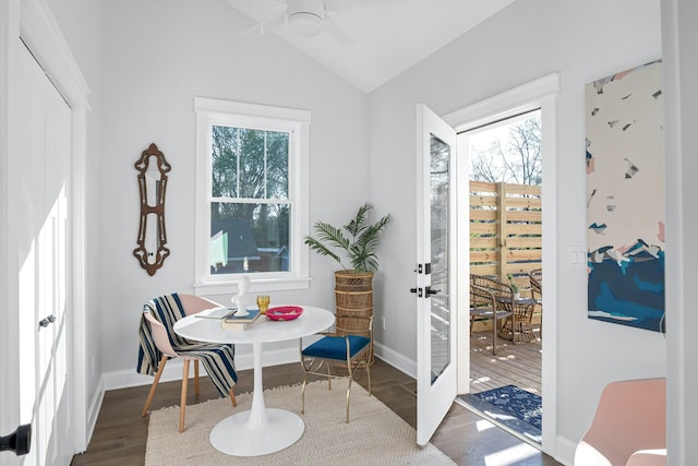 interior space with lofted ceiling, a healthy amount of sunlight, and hardwood / wood-style floors