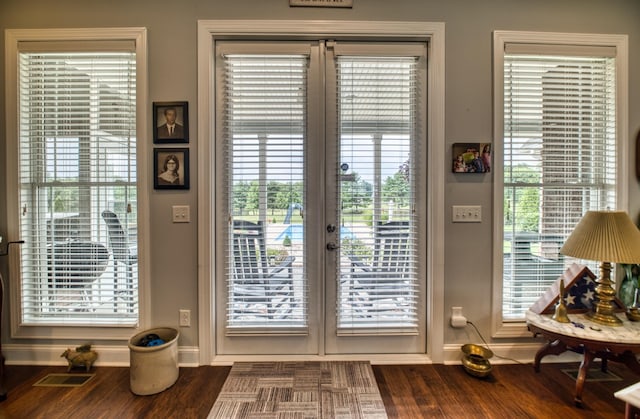 doorway to outside featuring dark hardwood / wood-style floors and a wealth of natural light