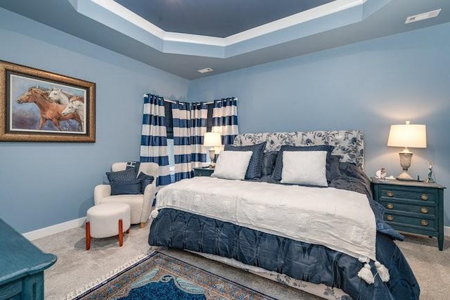 carpeted bedroom featuring a raised ceiling