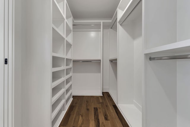 walk in closet with dark hardwood / wood-style flooring