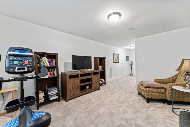 interior space with light colored carpet