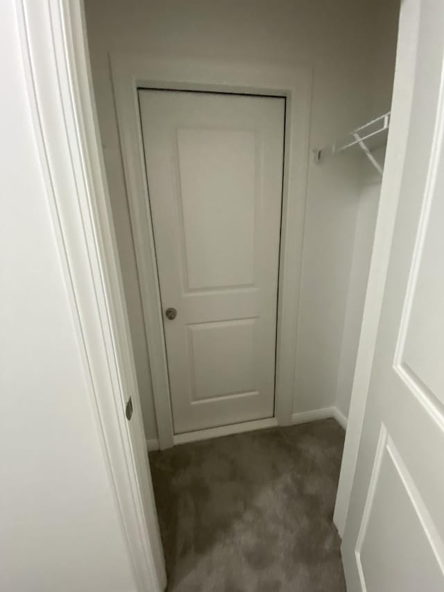 walk in closet featuring dark carpet