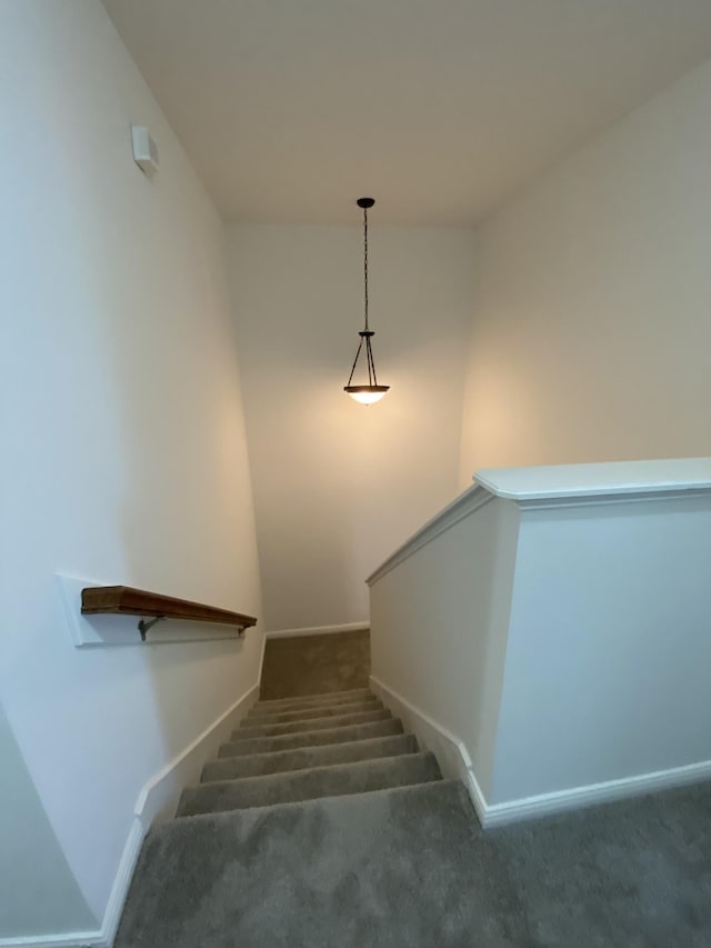 stairs with carpet flooring