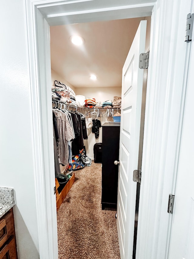 spacious closet featuring carpet