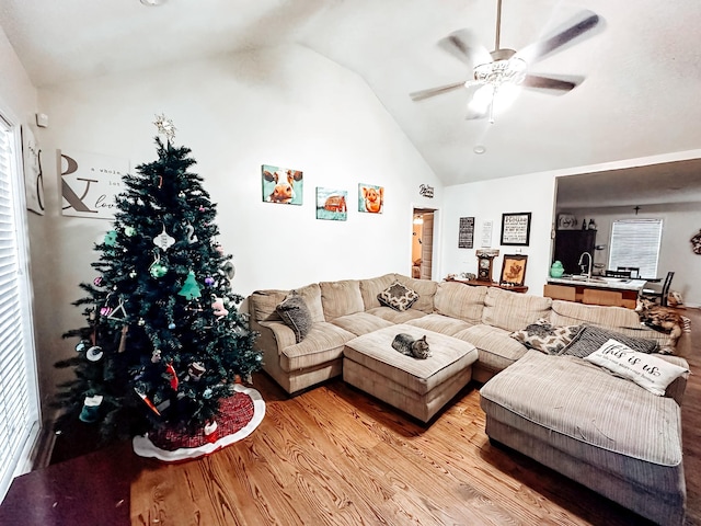 living room with ceiling fan, sink, lofted ceiling, and light wood-type flooring