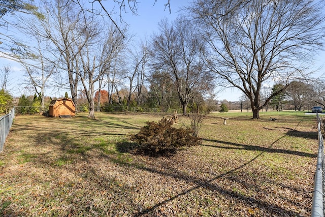 view of yard with a storage shed