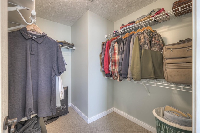 walk in closet featuring carpet flooring