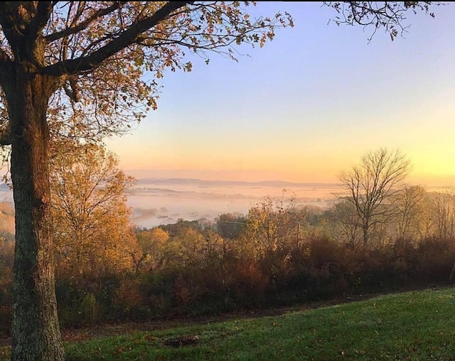 view of nature at dusk