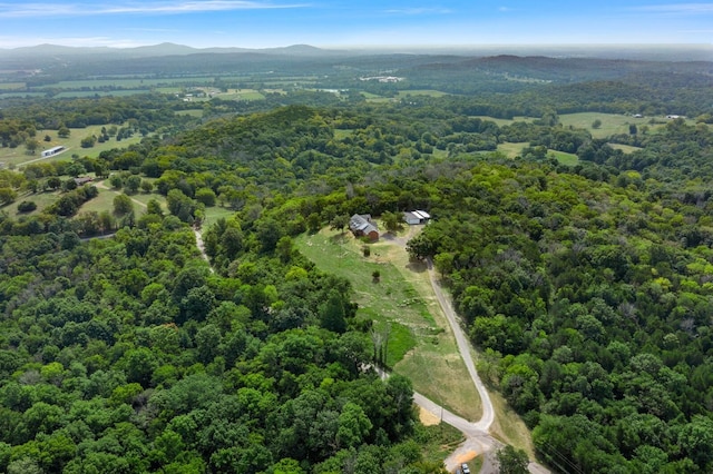 aerial view with a mountain view