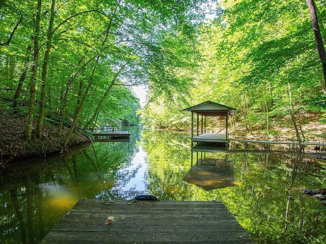 view of home's community featuring a water view and a boat dock