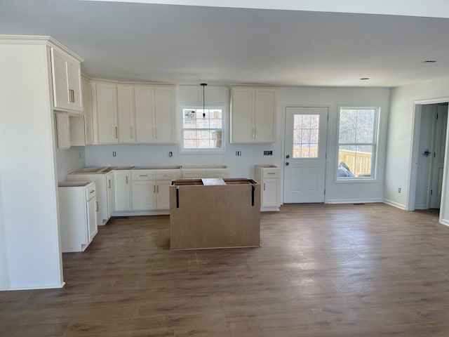 kitchen with dark hardwood / wood-style floors, a wealth of natural light, and white cabinetry