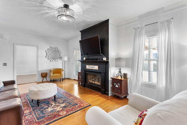 living room with a healthy amount of sunlight, wood-type flooring, and a fireplace