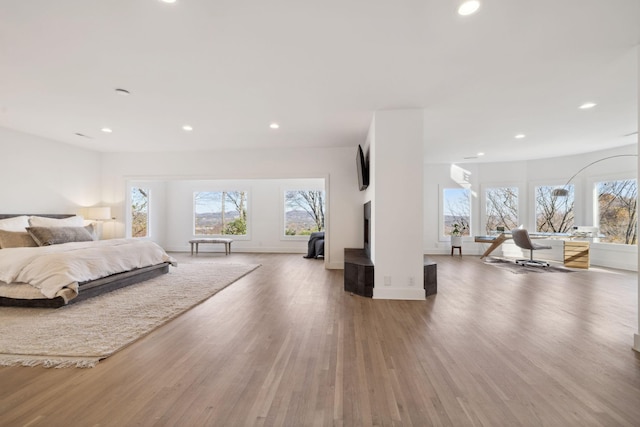 bedroom with wood-type flooring