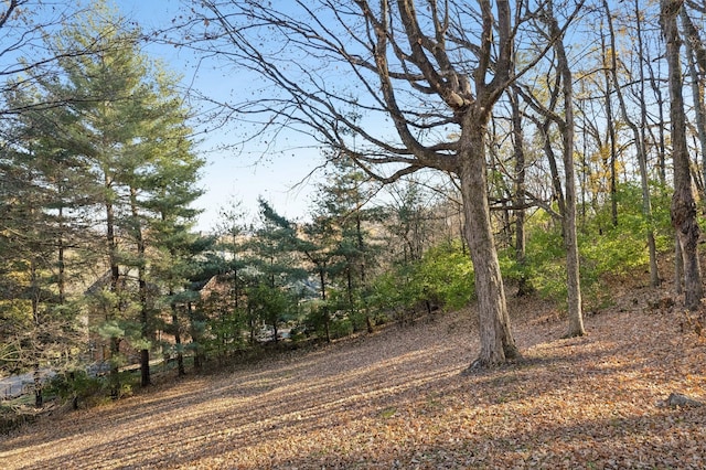 view of landscape