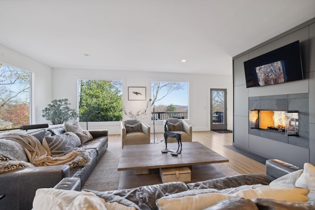 living room featuring a multi sided fireplace and light hardwood / wood-style flooring