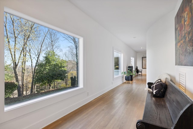 hall featuring light hardwood / wood-style flooring