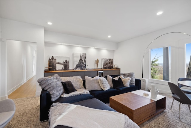 living room featuring light hardwood / wood-style floors