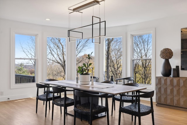 dining space featuring a wealth of natural light and light hardwood / wood-style flooring