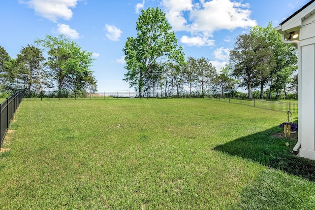 view of yard with a rural view