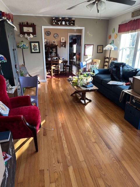 living room with hardwood / wood-style flooring and ornamental molding