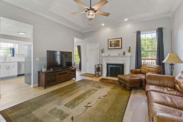 living room featuring sink, plenty of natural light, light hardwood / wood-style floors, and ornamental molding