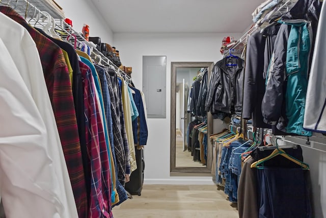 walk in closet featuring electric panel and light hardwood / wood-style flooring