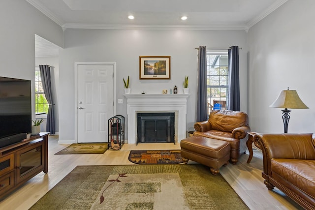 living room with light wood-type flooring and crown molding