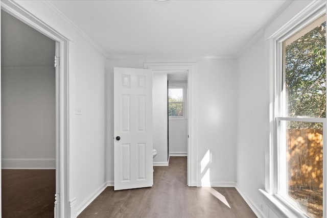 unfurnished bedroom featuring dark hardwood / wood-style floors, a spacious closet, and crown molding