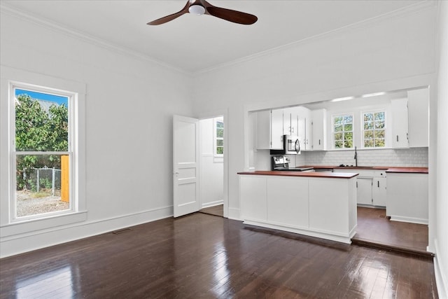 kitchen with white cabinets, appliances with stainless steel finishes, dark hardwood / wood-style floors, and a wealth of natural light