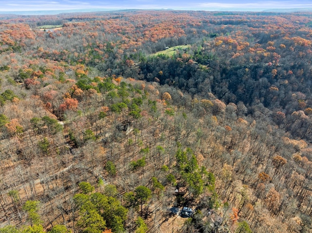 aerial view