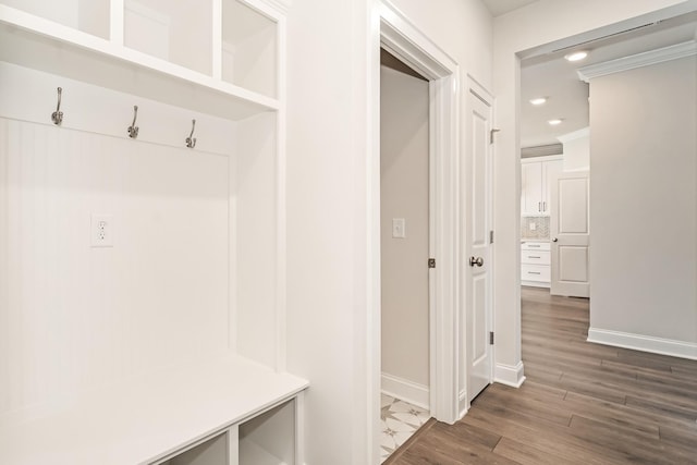 mudroom featuring dark wood-type flooring