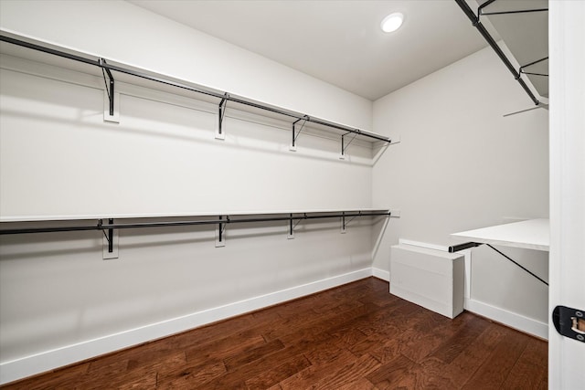 spacious closet with dark hardwood / wood-style flooring