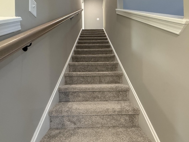 stairway featuring carpet floors