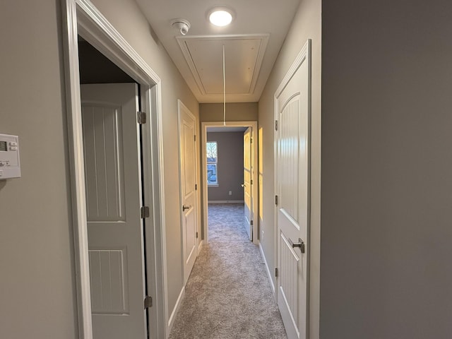 hallway featuring light carpet