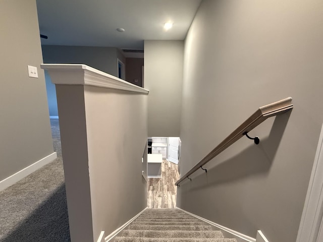 staircase featuring carpet