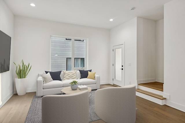 living room featuring hardwood / wood-style flooring