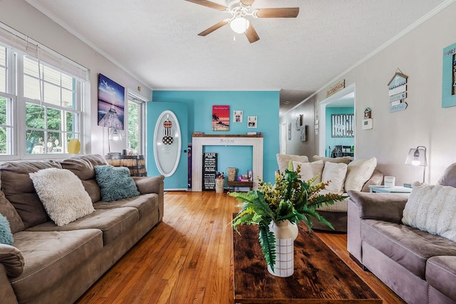 living room featuring hardwood / wood-style floors, ceiling fan, crown molding, and a textured ceiling