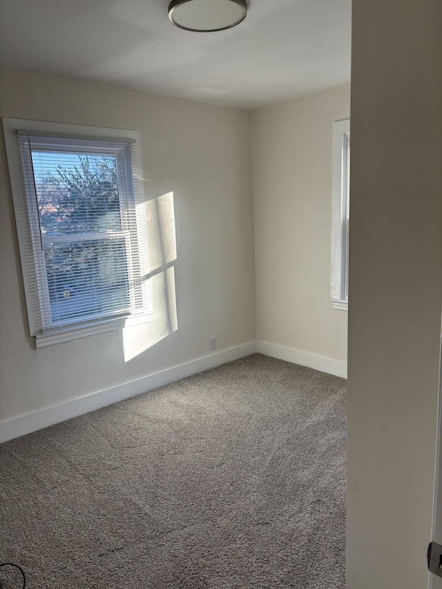 spare room featuring carpet flooring and a wealth of natural light