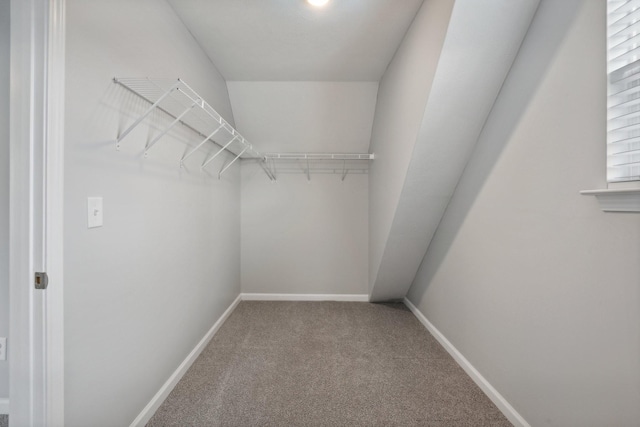 spacious closet with carpet flooring and lofted ceiling