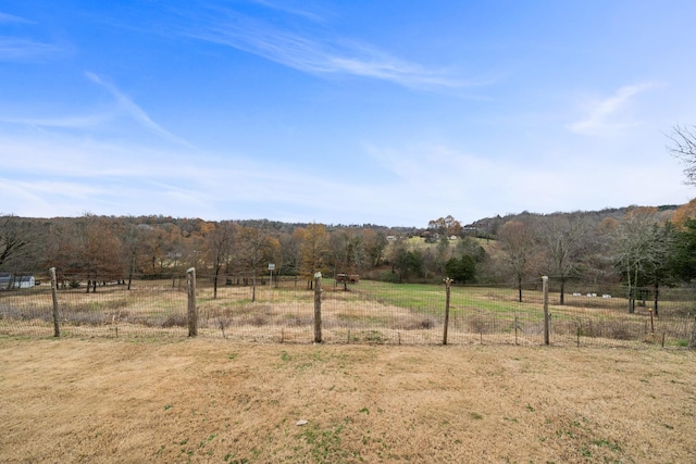 view of yard with a rural view