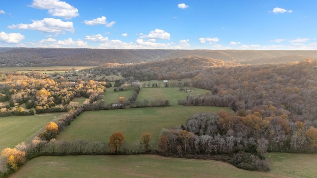 birds eye view of property with a mountain view and a rural view